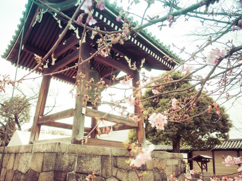 Ferienhaus Sakura Toji West Ii