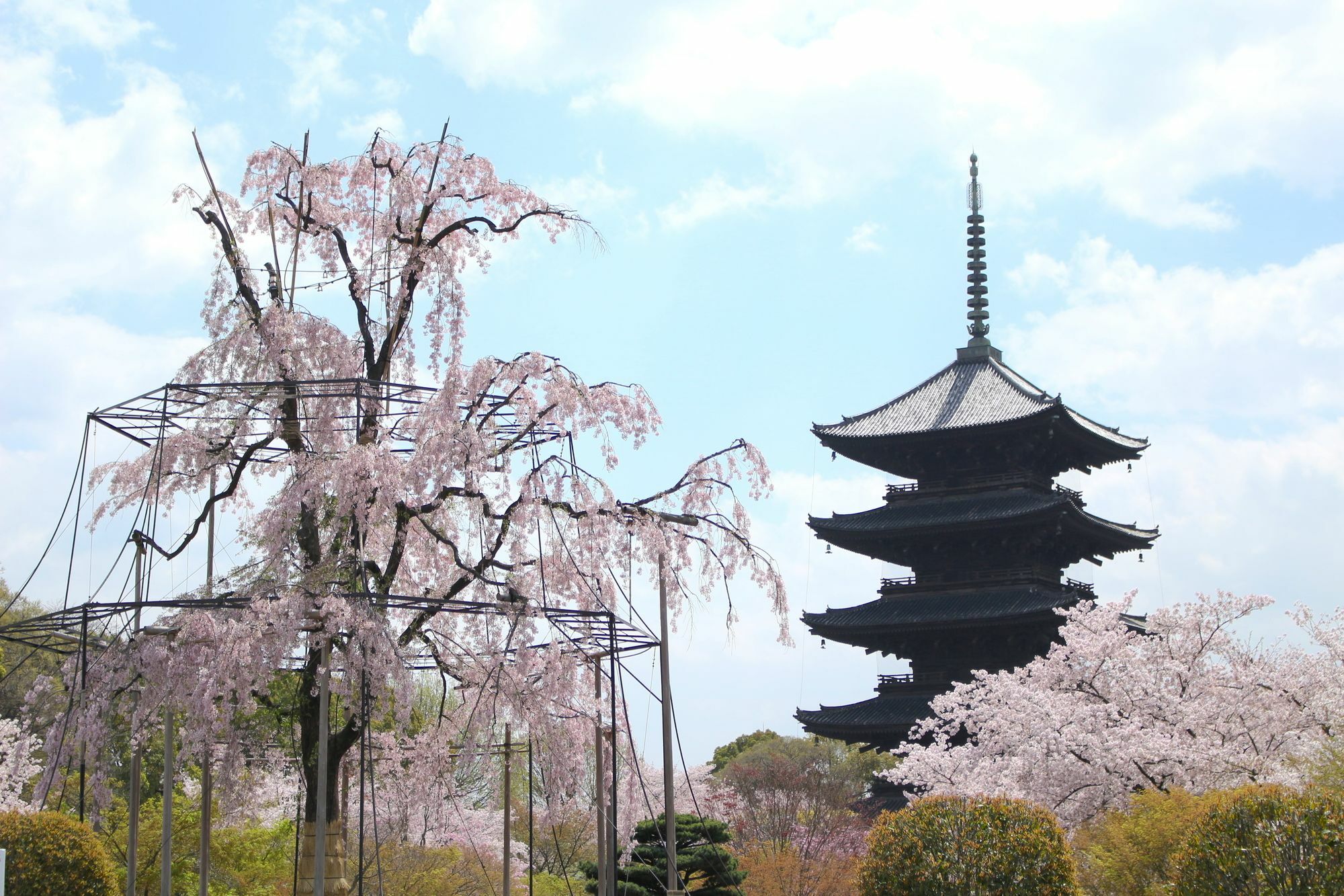 Casa vacanze Sakura Toji West Ii *